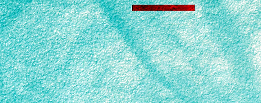 Confined Dune with Seasonal Blotches

