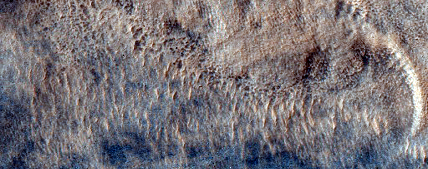 Southern Mid-Latitude Terrain Sample
