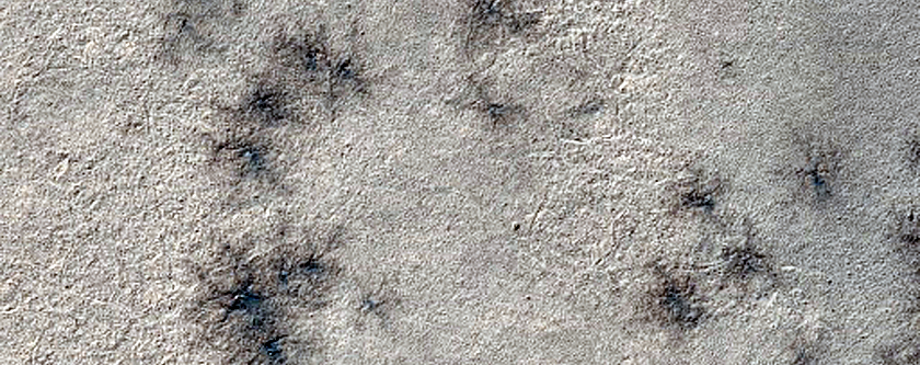Spiders Not on South Polar Layered Deposits
