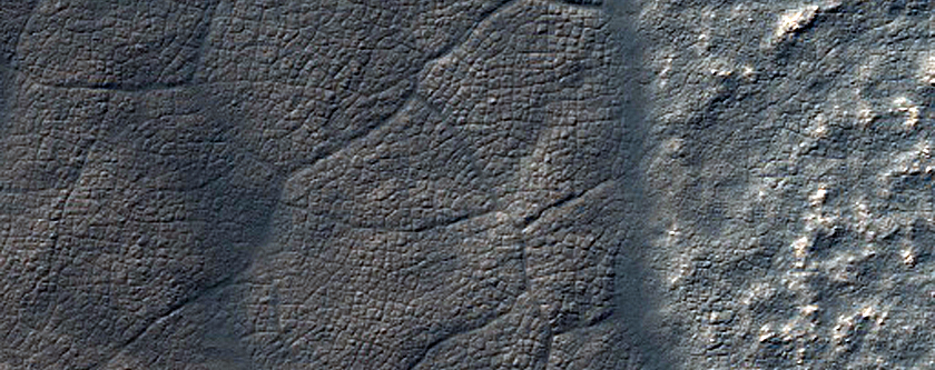 Starfish Features in South Polar Region

