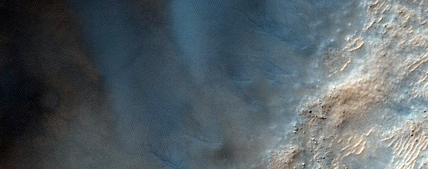 Dunes with New Spiders Forming
