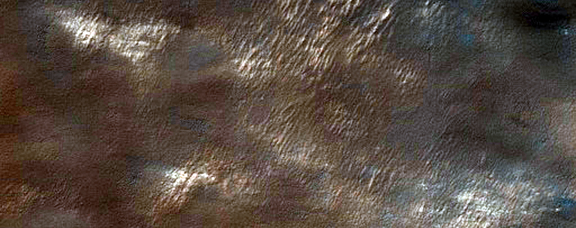 USGS Dune Database Entry Number 2087-746