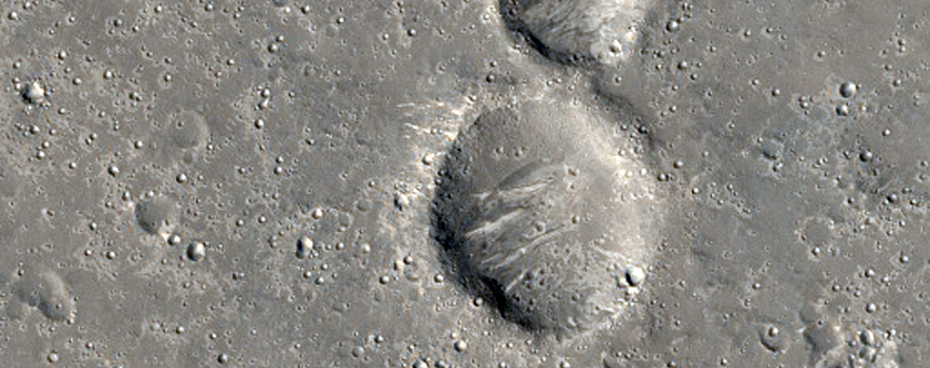 Landforms Near Elysium Planitia
