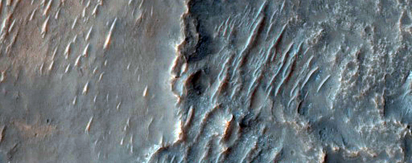 Bedrock Layers
