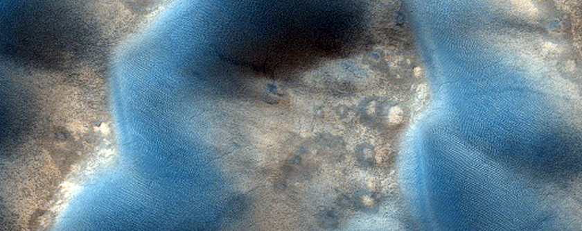 Possible New Spider Locale in Southern Terra Cimmeria
