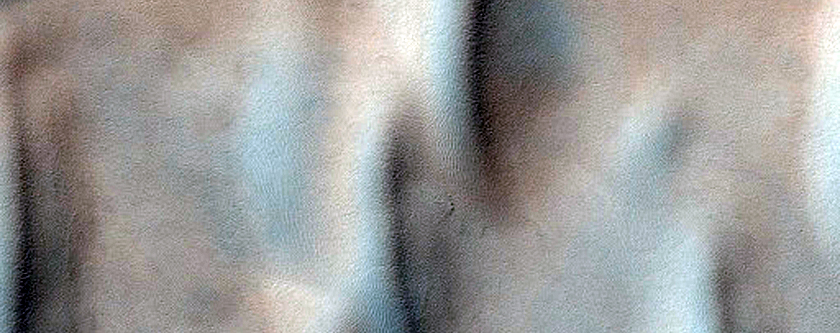 Oval Dune Field

