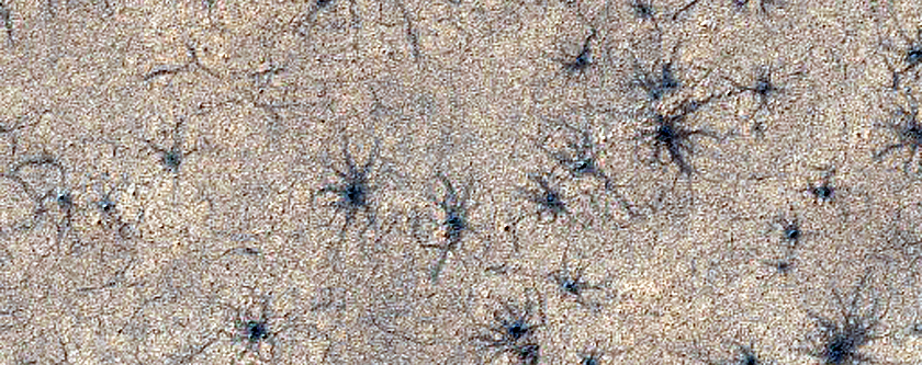 Tiny Spiders Off South Polar Layered Deposits
