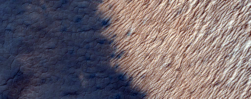 Spiders and Fans in Elim Crater
