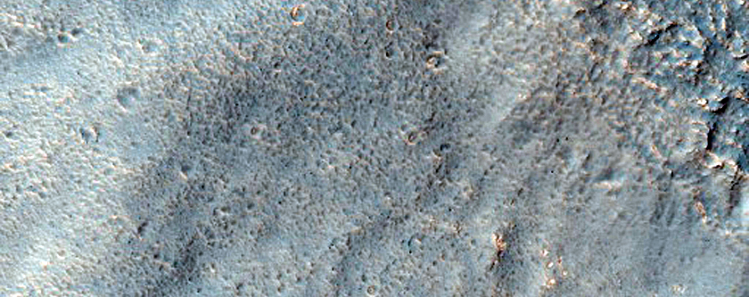 Brain Terrain in Crater in Hellas Montes Region
