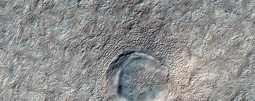 Possible 331-Meter Diameter South Polar Layered Deposits Crater
