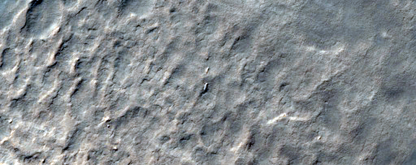 Seasonal View of Elim Crater Spiders inside South Polar Layered Deposits 
