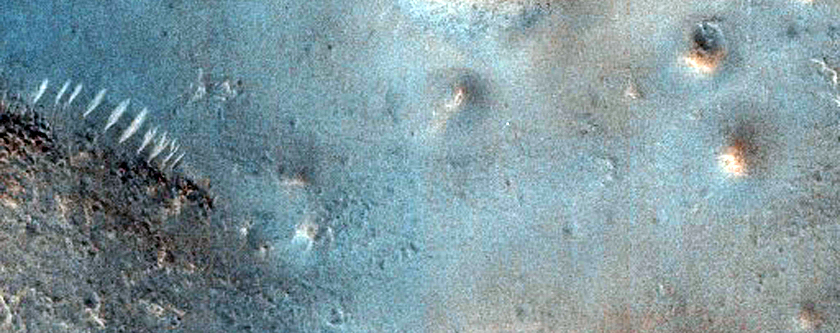 Mounds in Acidalia Planitia
