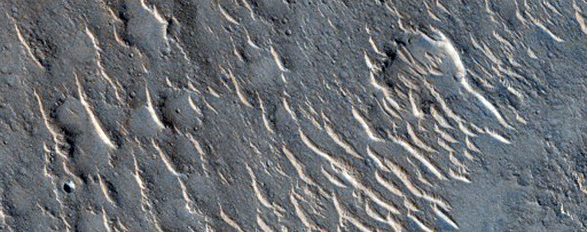 Ridge in Isidis Dorsa

