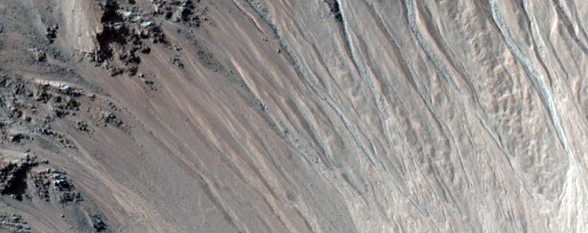 Small Crater with Gullies
