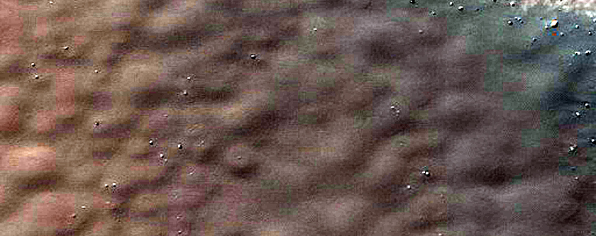 Confined Dune with Seasonal Blotches
