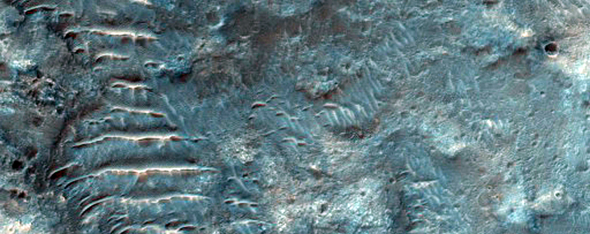Rocky Ground and Scarp
