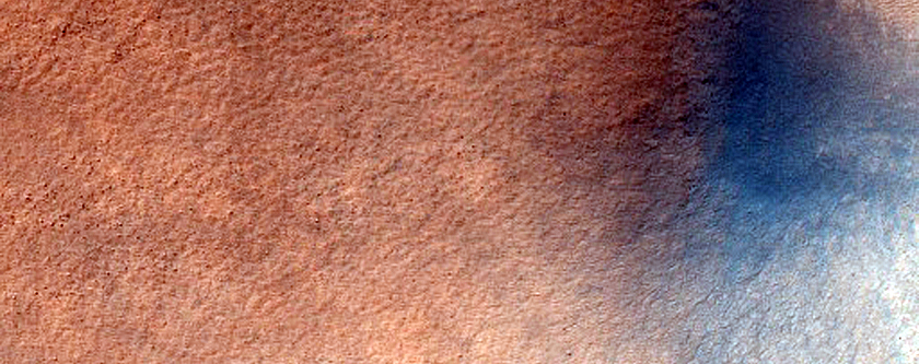 Bordering Craters Near Possible Gullies

