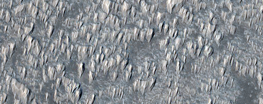 Lava Flows on Arsia Mons
