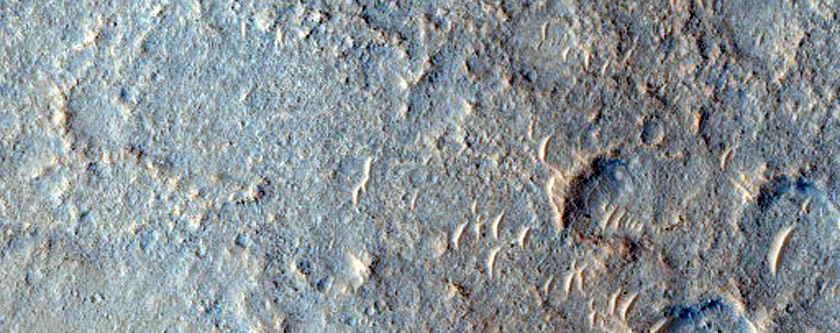 Wrinkle Ridges in West Meridiani Planum
