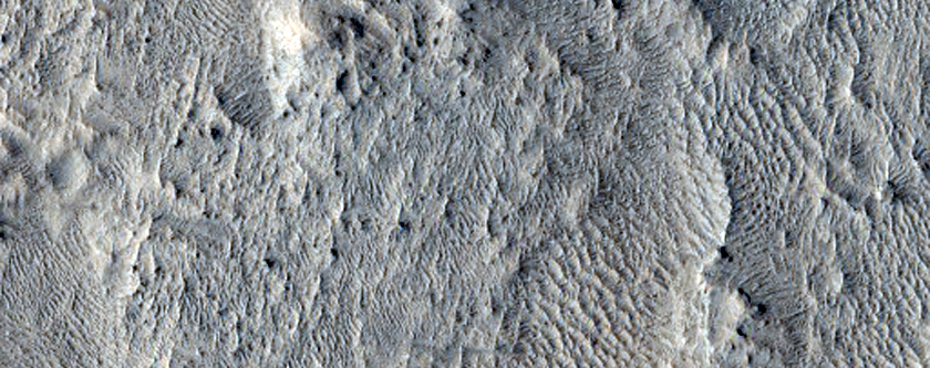 Fan with Incised Channels
