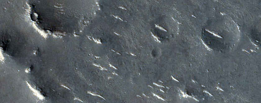 Ridges and Cones in Utopia Planitia