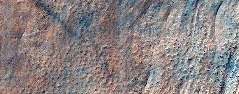 Gullies in Southern Mid-Latitude Crater on Northwest Flank of Hussey Crater
