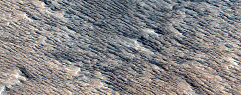 Monitoring New Impact Site
