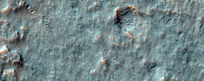 Gullied Crater Wall in Terra Cimmeria