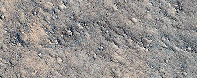 Northern Isidis Planitia

