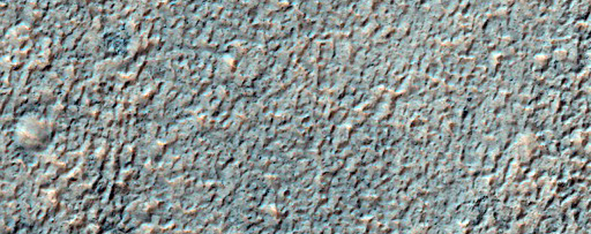Alluvial Fans in Newton Crater
