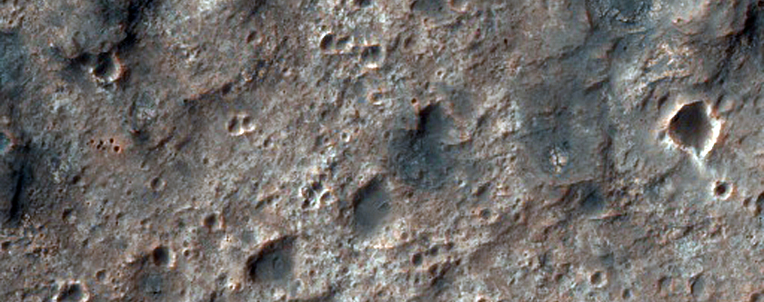 Dark-Toned Sinuous Ridges and Light-Toned Substrates
