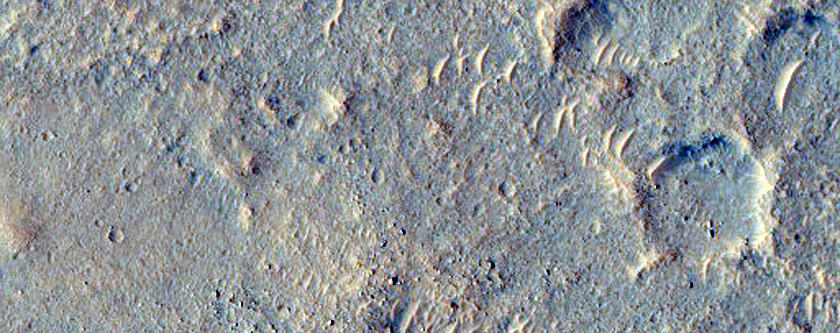 Wrinkle Ridges in West Meridiani Planum
