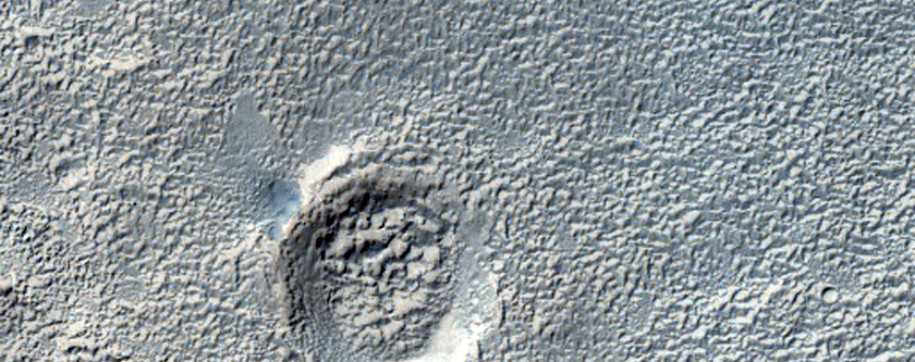 Branched Valleys North of Kepler Crater
