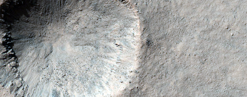 Infrared-Distinct Crater
