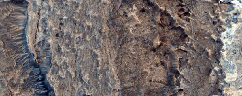 Ridges in Meridiani Planum
