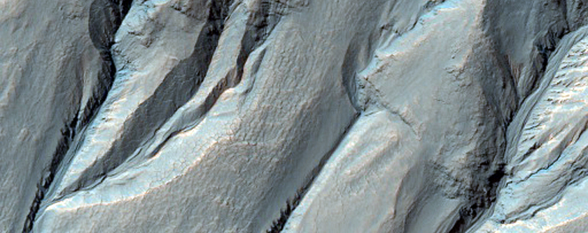 Gully Monitoring
