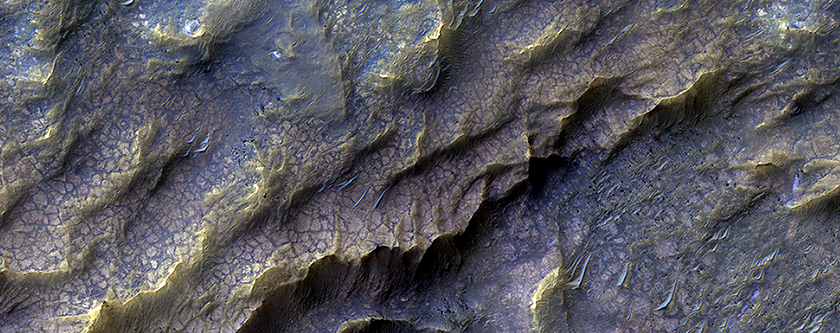 Dragon Scales of Mars