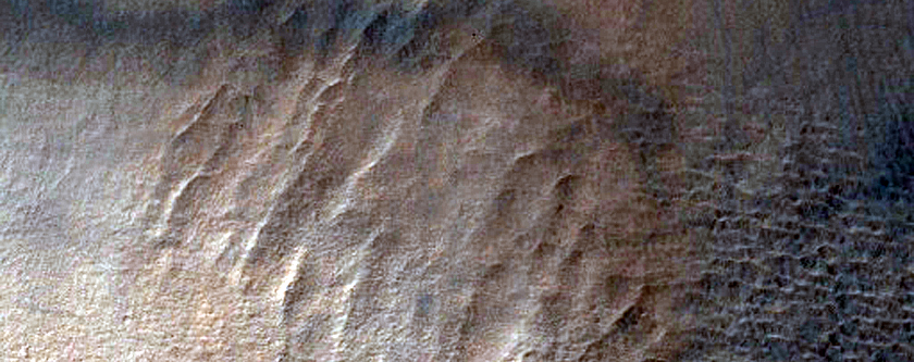 Gully in Southern Mid-Latitude Crater
