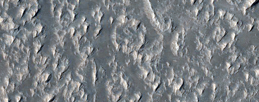 Lava Channels in Daedalia Planum
