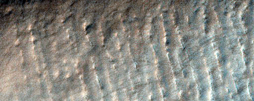 Linear Gullies in Hellas Planitia
