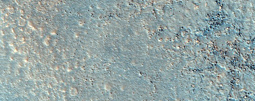 Distinctive Distal Deposits from Vivero Crater
