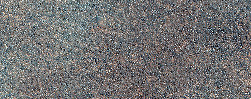 Boulder Field in Utopia Planitia
