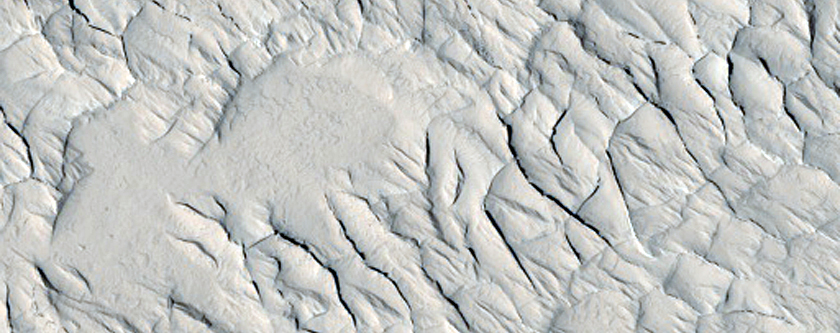 Polygonal Ridges Near Medusae Fossae Formation
