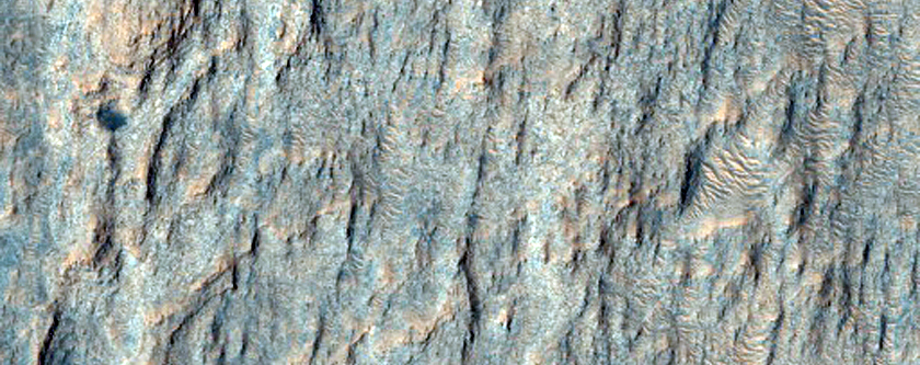 Phyllosilicates and Fluvial Features Near Hashir Crater
