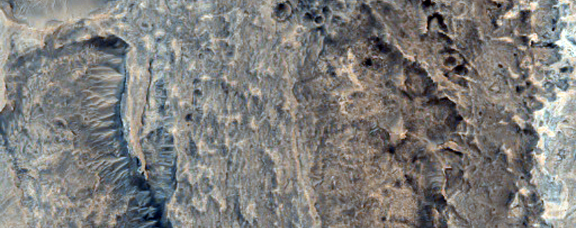 Ridges in Meridiani Planum
