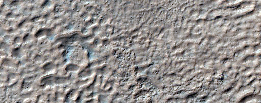 Gullied Crater Wall
