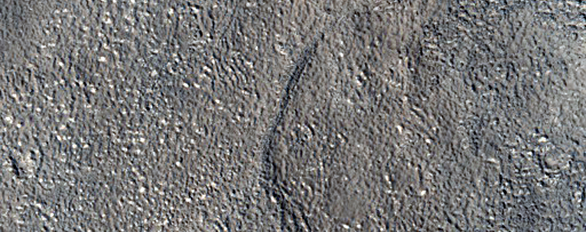 Knob and Flows in Adamas Labyrinthus
