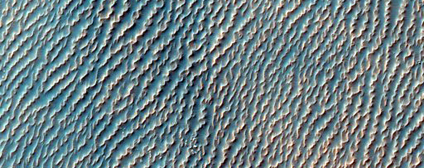 Dunes and Bedrock
