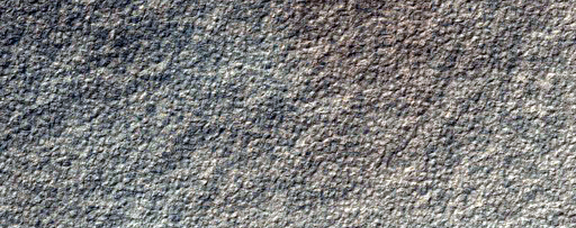 Confined Dune with Seasonal Blotches
