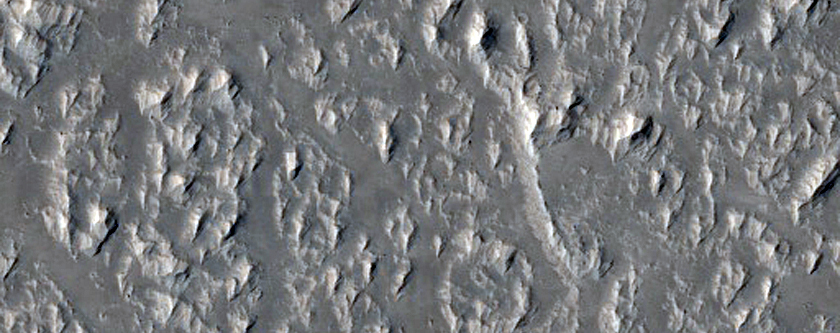 Lava Channels in Daedalia Planum
